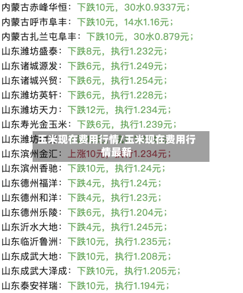 玉米现在费用行情/玉米现在费用行情最新