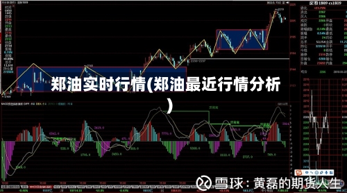 郑油实时行情(郑油最近行情分析)