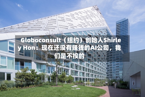 Globoconsult（纽约）创始人Shirley Hon：现在还没有赚钱的AI公司，我们是不投的-第3张图片