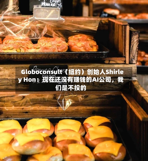 Globoconsult（纽约）创始人Shirley Hon：现在还没有赚钱的AI公司	，我们是不投的-第2张图片