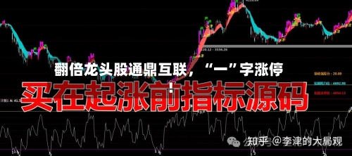 翻倍龙头股通鼎互联，“一”字涨停！-第2张图片