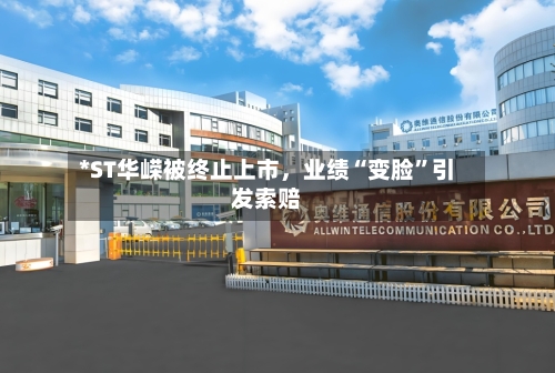 *ST华嵘被终止上市，业绩“变脸	”引发索赔-第2张图片