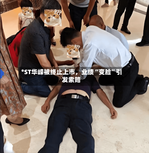 *ST华嵘被终止上市，业绩“变脸”引发索赔-第3张图片