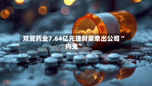 双鹭药业7.64亿元理财案牵出公司“内鬼”-第2张图片