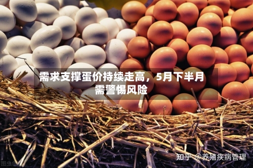 需求支撑蛋价持续走高，5月下半月需警惕风险-第3张图片