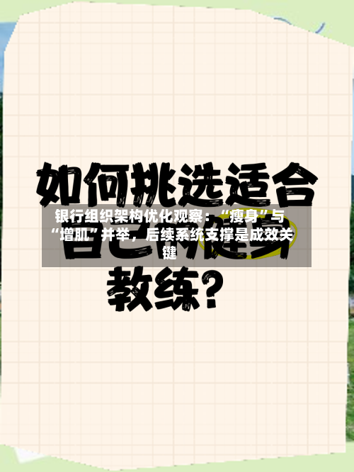 银行组织架构优化观察：“瘦身”与“增肌”并举，后续系统支撑是成效关键-第3张图片