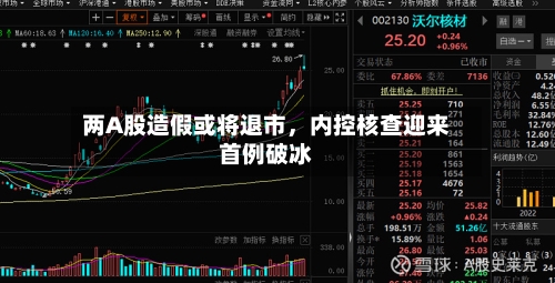 两A股造假或将退市，内控核查迎来首例破冰-第3张图片