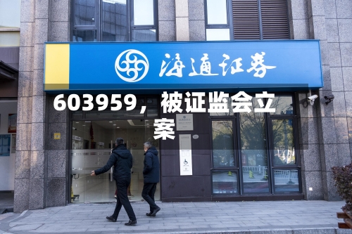 603959，被证监会立案-第3张图片
