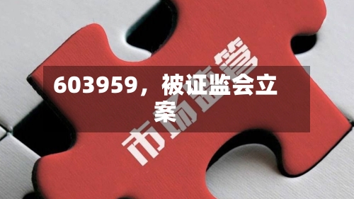 603959，被证监会立案-第2张图片