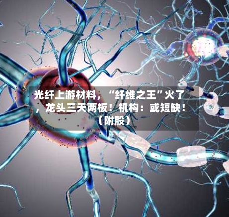 光纤上游材料，“纤维之王”火了，龙头三天两板！机构：或短缺！（附股）-第2张图片