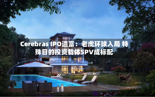 Cerebras IPO造富:老虎环球入局 特殊目的投资载体SPV成标配-第3张图片