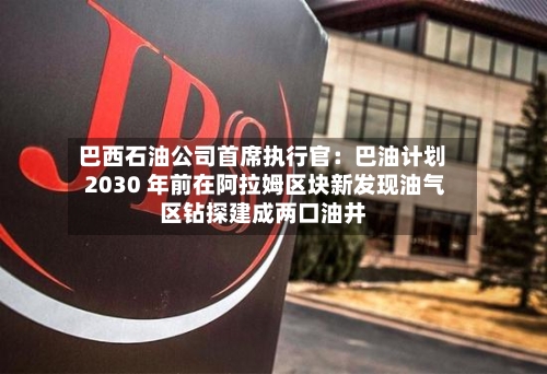 巴西石油公司首席执行官:巴油计划 2030 年前在阿拉姆区块新发现油气区钻探建成两口油井-第3张图片