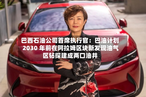 巴西石油公司首席执行官:巴油计划 2030 年前在阿拉姆区块新发现油气区钻探建成两口油井-第2张图片