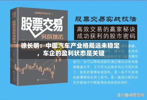 徐长明：中国汽车产业格局远未稳定，车企的盈利状态是关键-第2张图片
