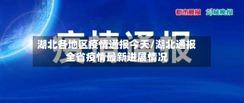 湖北各地区疫情通报今天/湖北通报全省疫情最新进展情况
