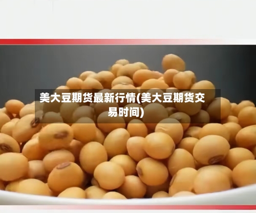 美大豆期货最新行情(美大豆期货交易时间)-第2张图片