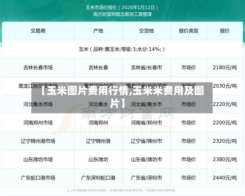 【玉米图片费用行情,玉米米费用及图片】-第3张图片