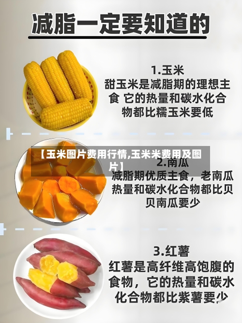 【玉米图片费用行情,玉米米费用及图片】-第2张图片