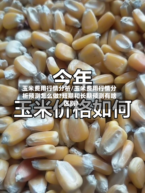 玉米费用行情分析/玉米费用行情分析预测怎么做?短期和长期预测有啥区别?