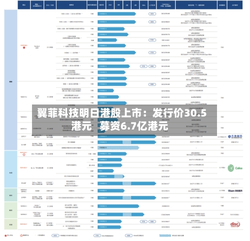翼菲科技明日港股上市:发行价30.5港元 募资6.7亿港元-第2张图片