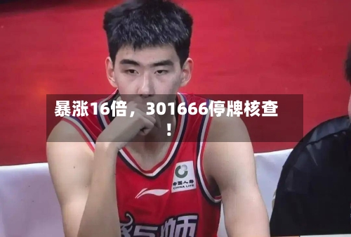 暴涨16倍，301666停牌核查！