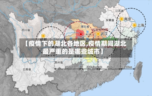 【疫情下的湖北各地区,疫情期间湖北最严重的是哪些城市】-第3张图片
