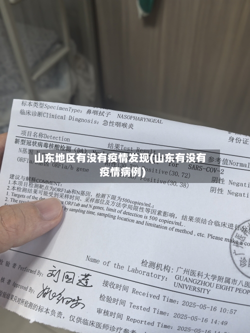 山东地区有没有疫情发现(山东有没有疫情病例)-第2张图片