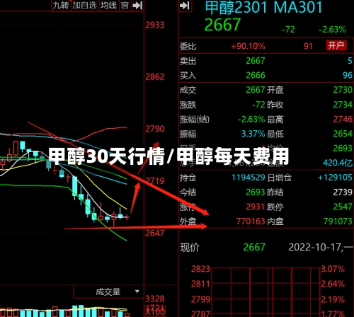 甲醇30天行情/甲醇每天费用-第3张图片