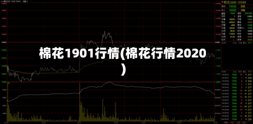 棉花1901行情(棉花行情2020)-第2张图片