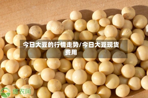 今日大豆的行情走势/今日大豆现货费用-第3张图片