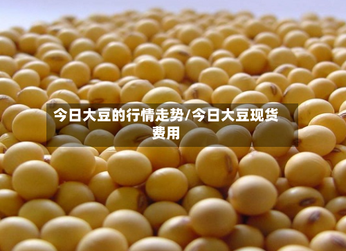 今日大豆的行情走势/今日大豆现货费用-第2张图片