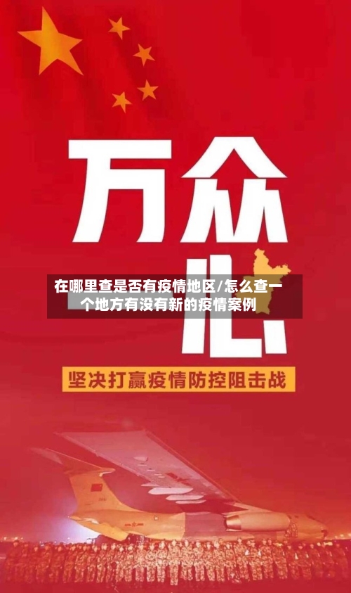 在哪里查是否有疫情地区/怎么查一个地方有没有新的疫情案例-第2张图片