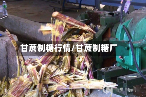 甘蔗制糖行情/甘蔗制糖厂