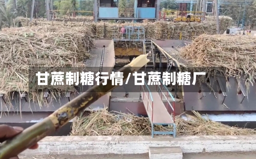 甘蔗制糖行情/甘蔗制糖厂-第2张图片