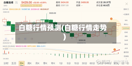 白糖行情预测(白糖行情走势)
