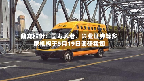 鼎龙股份：国寿养老、兴业证券等多家机构于5月19日调研我司-第2张图片