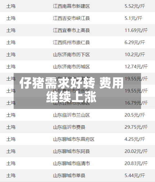 仔猪需求好转 费用继续上涨