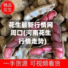 花生最新行情网周口(河南花生行情走势)-第2张图片