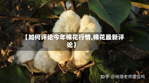 【如何评论今年棉花行情,棉花最新评论】