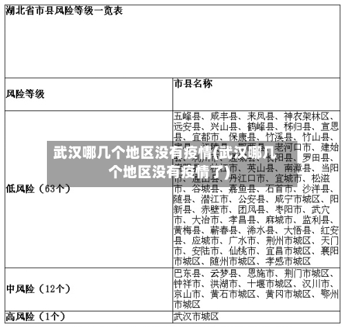 武汉哪几个地区没有疫情(武汉哪几个地区没有疫情了)-第3张图片