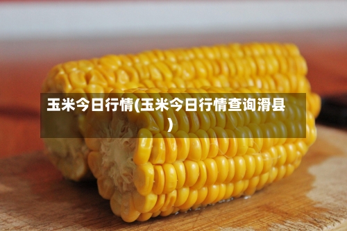 玉米今日行情(玉米今日行情查询滑县)
