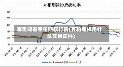 哪里能看豆粕期权行情(豆粕期权用什么交易软件)