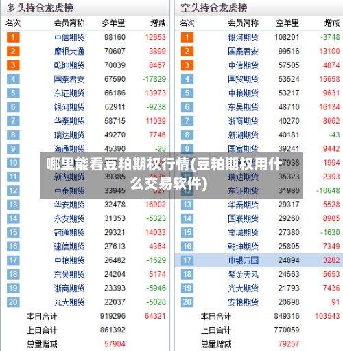 哪里能看豆粕期权行情(豆粕期权用什么交易软件)-第3张图片