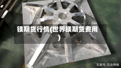 镁期货行情(世界镁期货费用)-第2张图片