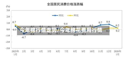 今年棉行情走势/今年棉花费用行情-第2张图片