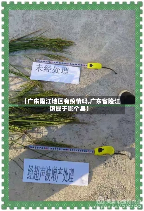 【广东隆江地区有疫情吗,广东省隆江镇属于哪个县】-第2张图片