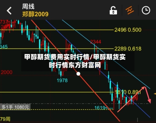 甲醇期货费用实时行情/甲醇期货实时行情东方财富网