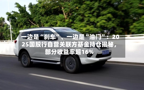 一边是“刹车”、一边是“油门	”：2025国股行自营关联方基金持仓揭秘，部分收益率超16%-第2张图片