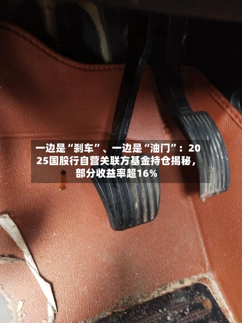 一边是“刹车”	、一边是“油门”：2025国股行自营关联方基金持仓揭秘	，部分收益率超16%-第3张图片