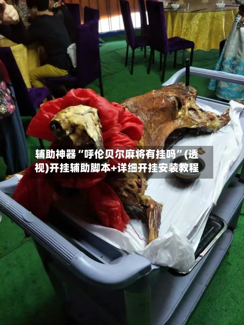 辅助神器“呼伦贝尔麻将有挂吗”(透视)开挂辅助脚本+详细开挂安装教程-第2张图片